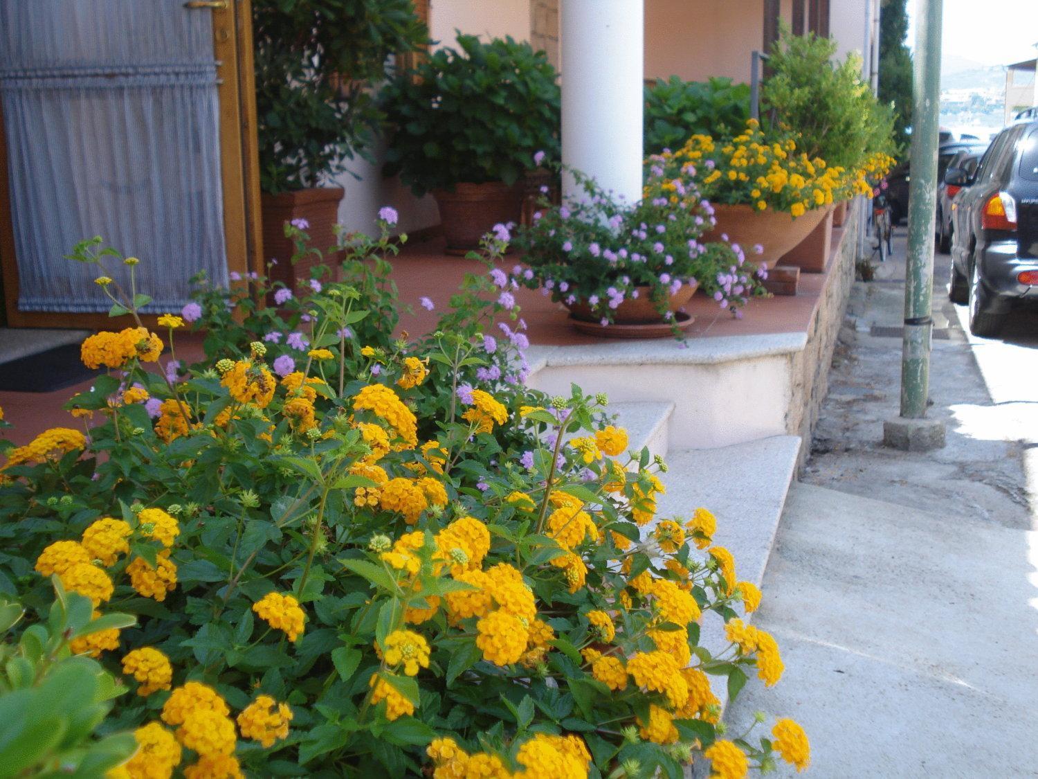 Hotel La Lampara Golfo Aranci Exterior photo